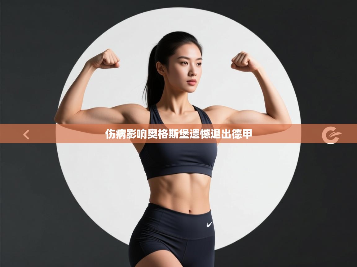 伤病影响奥格斯堡遗憾退出德甲 第2张